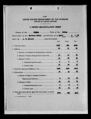 Northern Pueblo Statistical Report, 1930